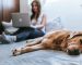 Give Your Pet Care Using These Tips.