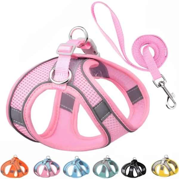 Reflective Harness & Lead Set